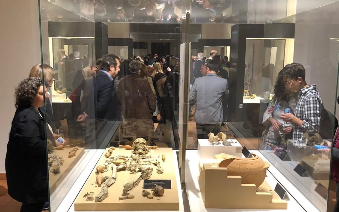 Una delle vetrine con i reperti archeologici