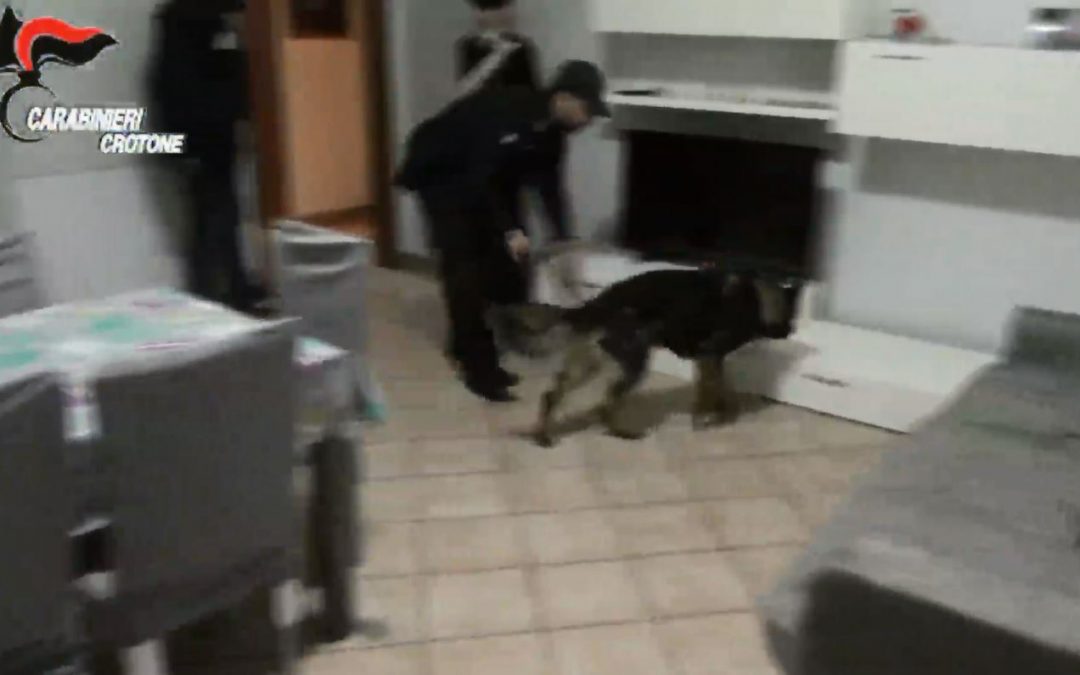 L'operazione dei carabinieri a Crotone