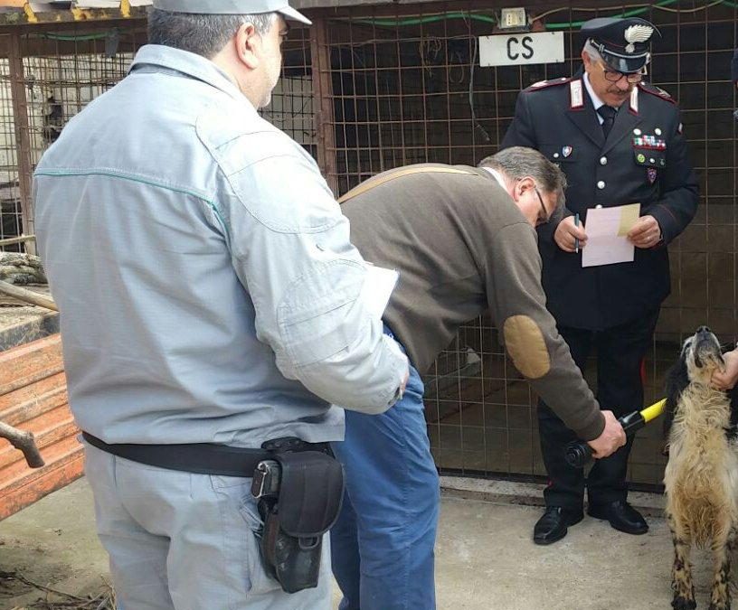 I controlli dei militari