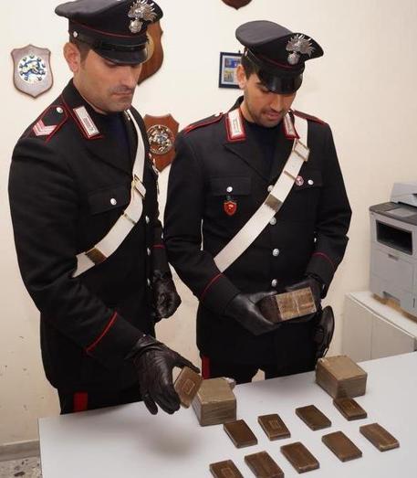 La droga è stata sequestrata dai carabinieri della compagnia di Pisticci (MT)
