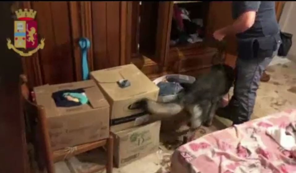VIDEO – Operazione Alba Rosa, dieci arresti nel reggino  Le immagini delle perquisizioni della polizia