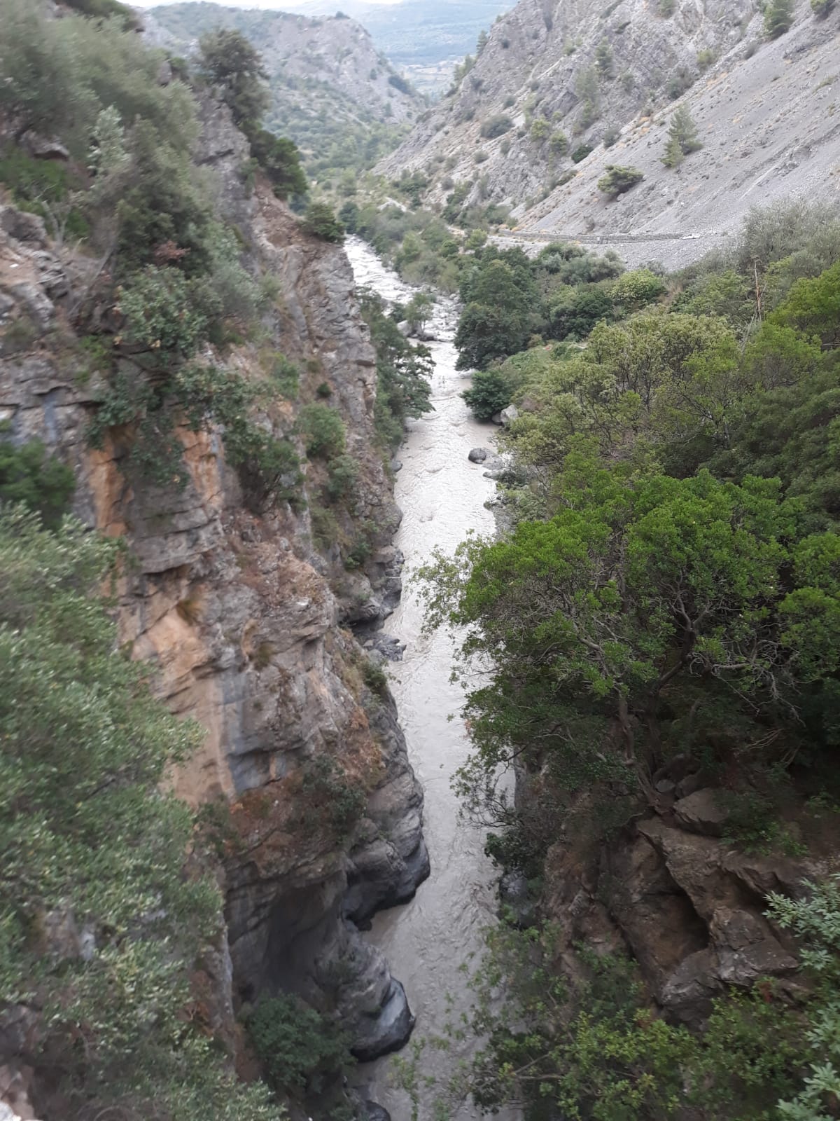 civita soccorsi 11.jpeg