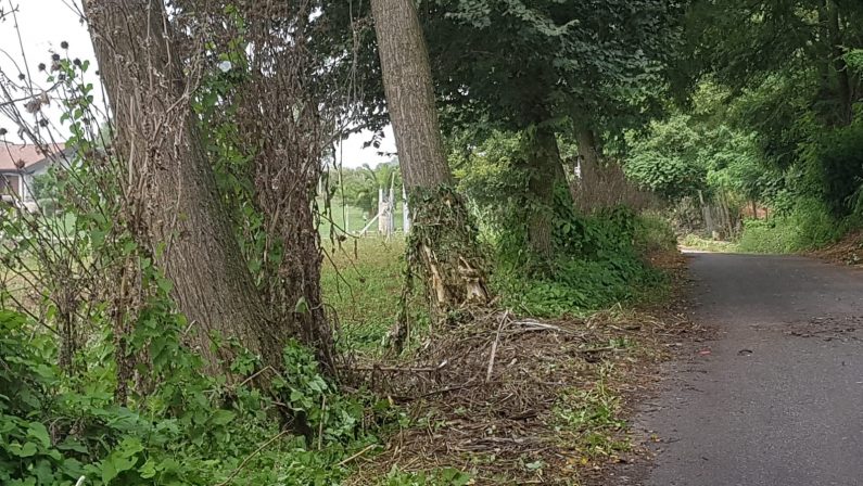 Incidente nel Vibonese, auto finisce contro un alberoIn gravi condizioni due giovani: prognosi riservata