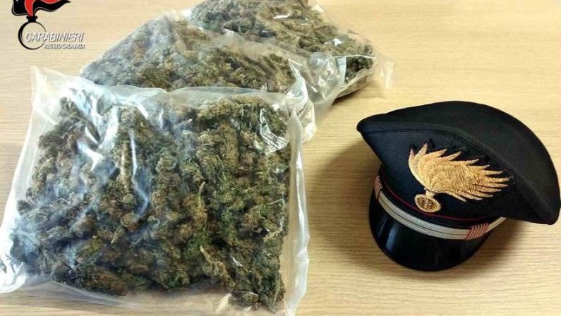 Viaggiava con un chilo di marijuana in macchinaSorpreso dai carabinieri prova la fuga, arrestato reggino