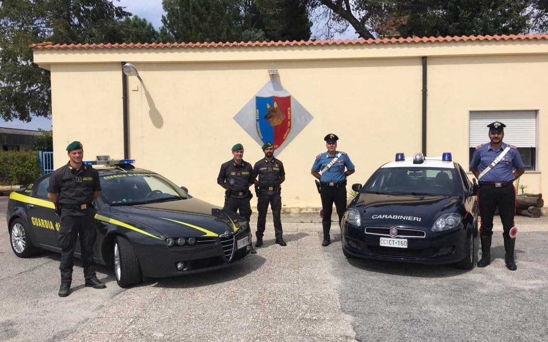 Operazione congiunta di carabinieri e guardia di finanza