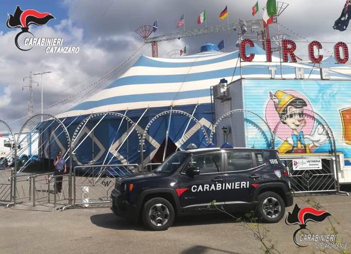 Controlli in un circo nel Catanzarese, irregolaritàElevate diverse sanzioni. Sequestrato un cavallo