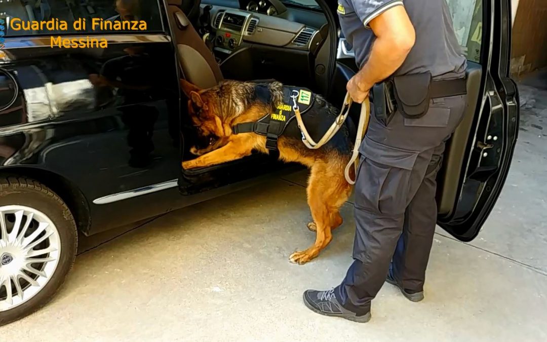 VIDEO – Dalla Calabria in Sicilia con 11 chili di cocaina: arrestato grazie al cane antidroga