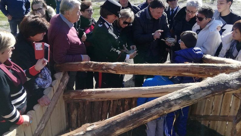 FOTO - Grande successo per l'edizione 2018 di ForestamicaLe immagini della festa delle foreste nella Sila Cosentina