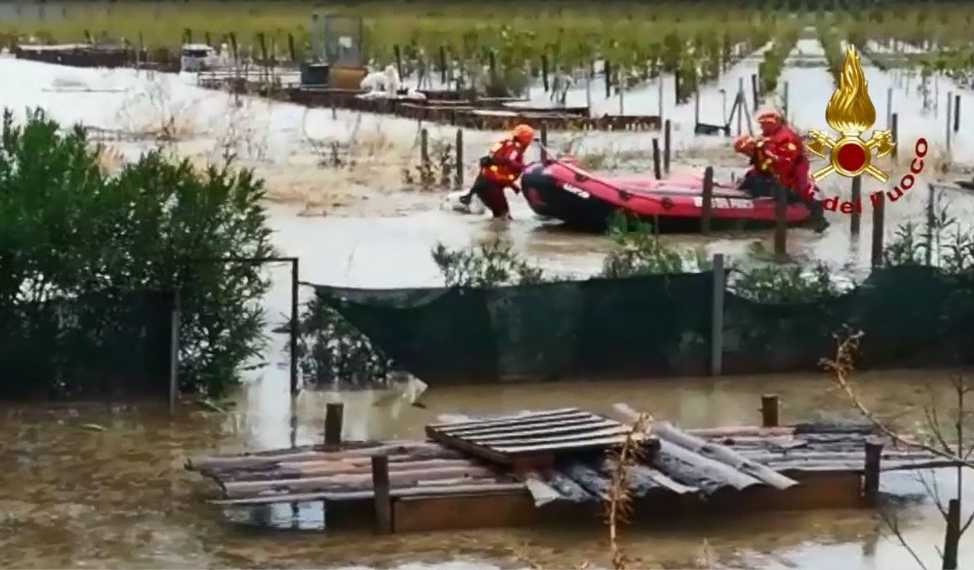 VIDEO – Maltempo in Calabria: canile allagato nel Crotonese, salvati alcuni animali
