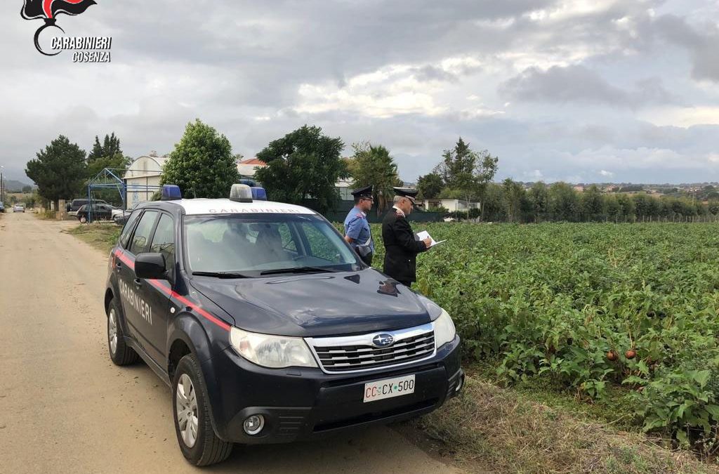 I carabinieri che hanno seguito l'operazione