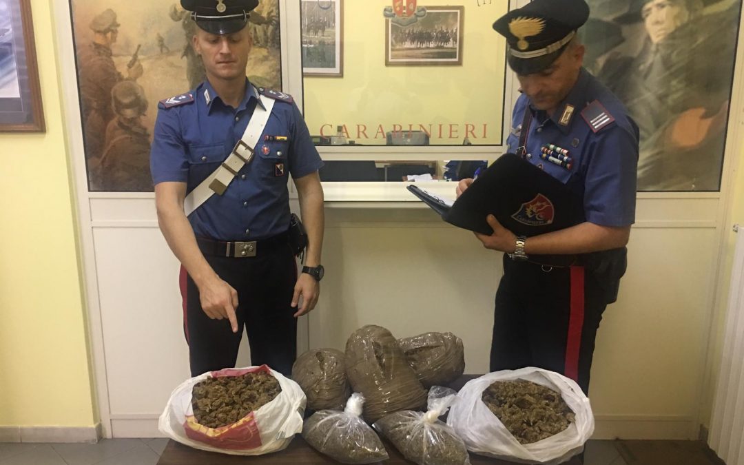 La droga sequestrata