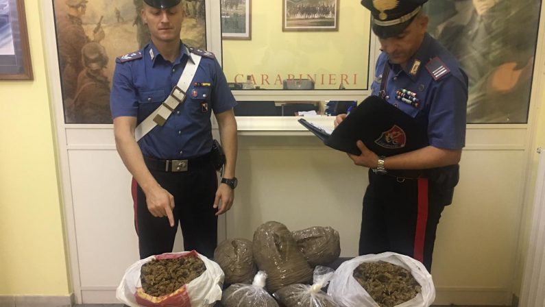 Tre donne con 5 chili di marijuana nel CosentinoDroga nascosta nel borsone tra la biancheria intima