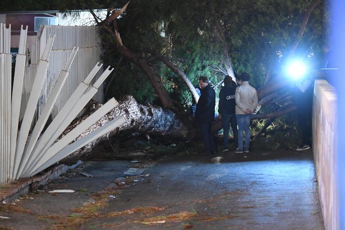 Tragedia a Fuorigrotta: cade un albero e uccide un 21enne di Caserta