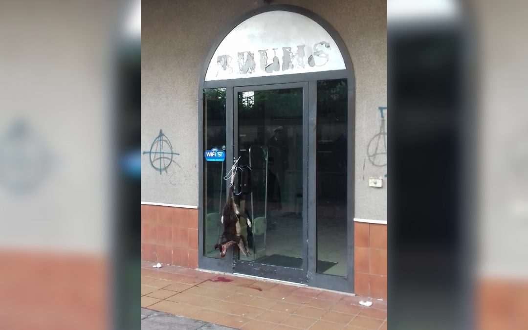 FOTO – Macabra intimidazione a negozio in centro  Cane ucciso e appeso alla porta d’ingresso a Vibo