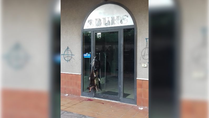 FOTO - Macabra intimidazione a negozio in centroCane ucciso e appeso alla porta d'ingresso a Vibo
