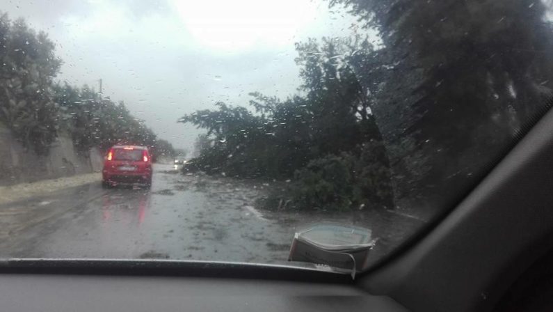 VIDEO - Maltempo in Calabria, le strade trasformate in fiumi e la tromba d'aria nel catanzarese