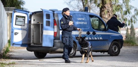 Unità cinofile della polizia