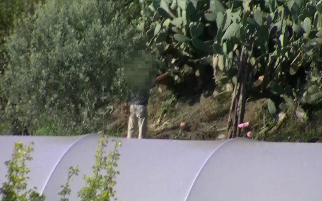 Il falso invalido mentre camminava da solo in campagna