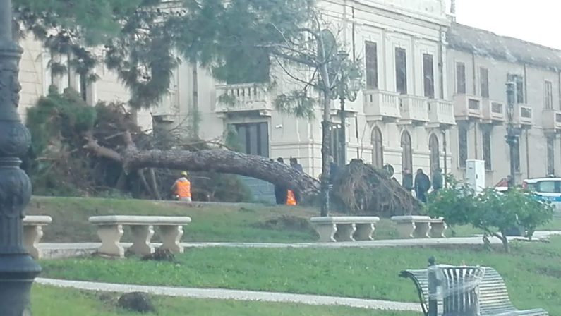 Maltempo, burrasca di vento investe la Calabria  Danni dal Reggino al Catanzarese, nessun ferito