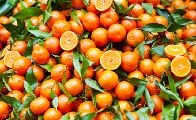 Clementine sostenibili, al via una nuova campagna Made in Italy