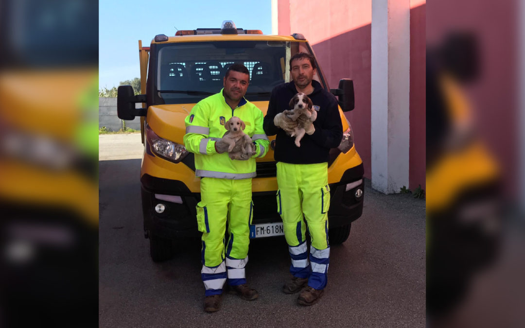 I due operai che hanno portato in salvo i due cagnolini