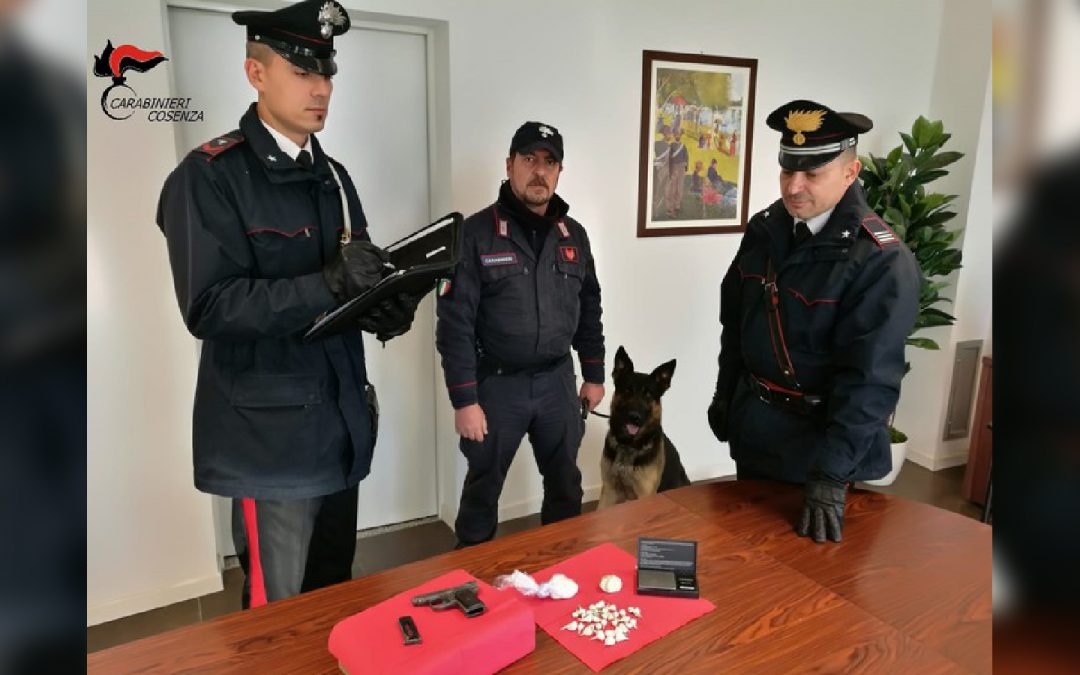 La droga sequestrata dai carabinieri
