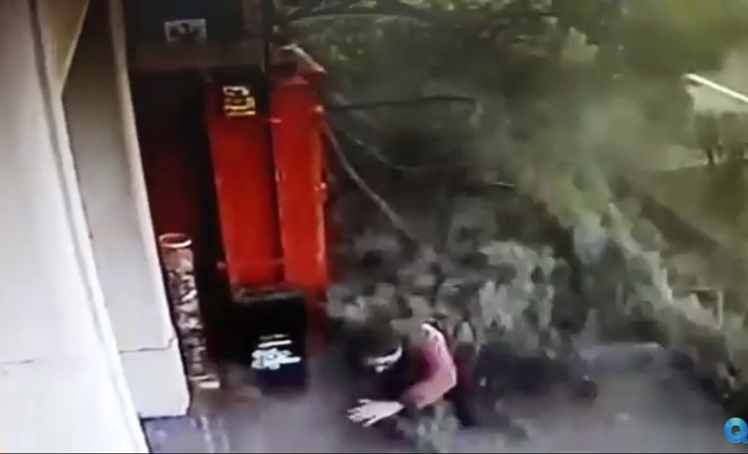 VIDEO – Castrovillari, il vento abbatte un albero che travolge un passante
