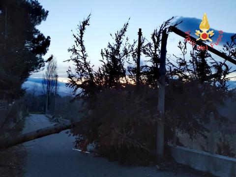 maltempo alberi presila