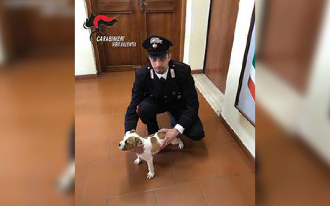 Il piccolo Birillo portato in salvo dai carabinieri