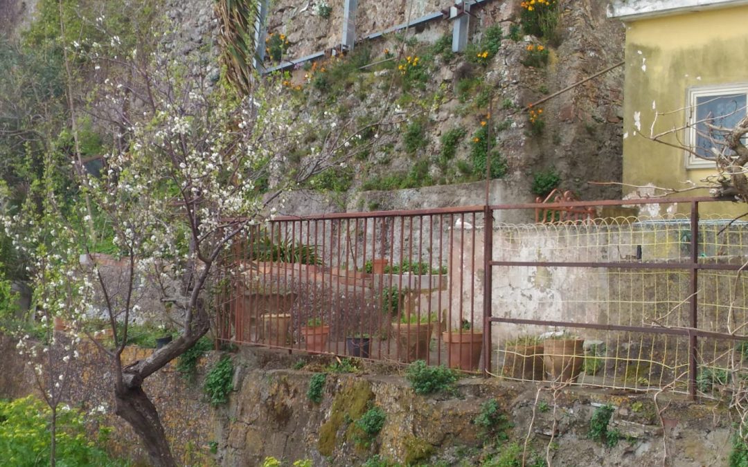 Il giardino dove è stato trovato il cadavere del neonato