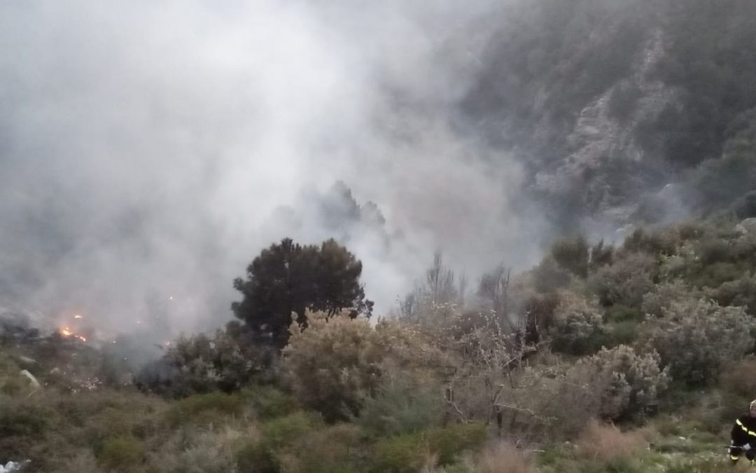 L'area interessata dall'incendio