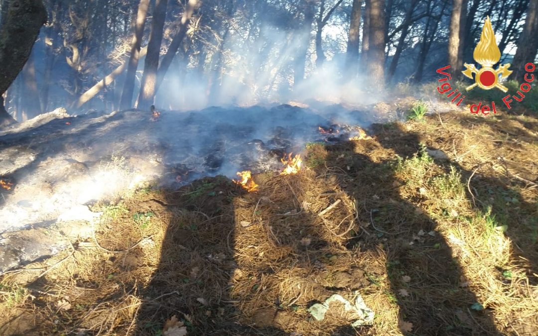 L'incendio dell'area nel Catanzarese