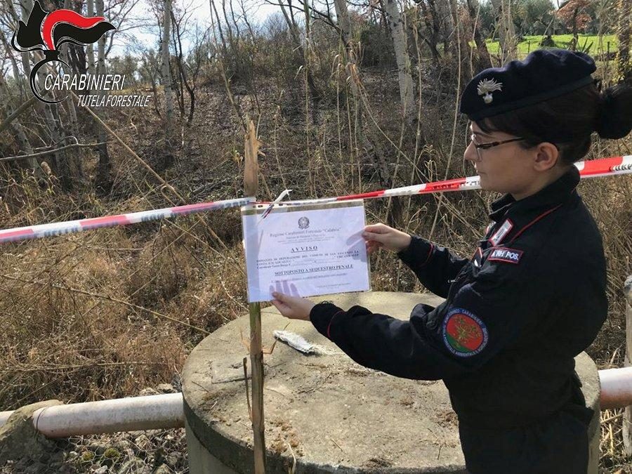 Il sequestro dei carabinieri forestali