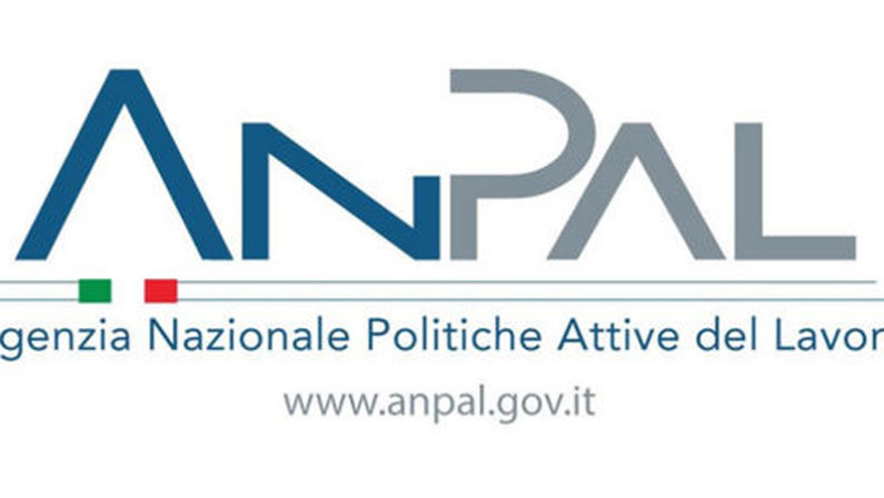 Reddito di Cittadinanza, l'Anpal diffonde i dati sui navigatorA Cosenza per 60 posti giunte già oltre 1500 domande