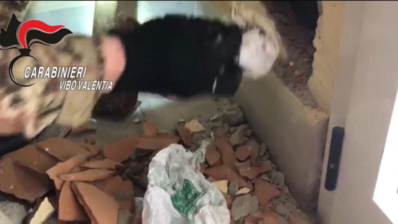 La droga nascosta nelle mura di casa nel VibonesePerquisizioni dei carabinieri, arrestato un uomo 