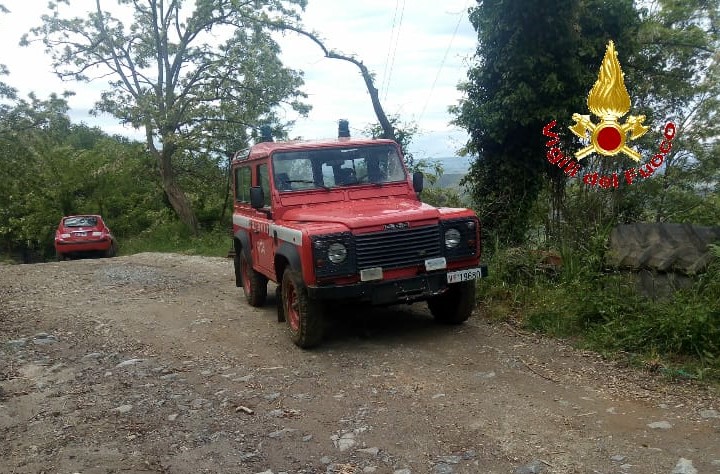 Donna scomparsa nel nulla nel Vibonese  Uscita da casa sabato, non vi ha fatto più ritorno