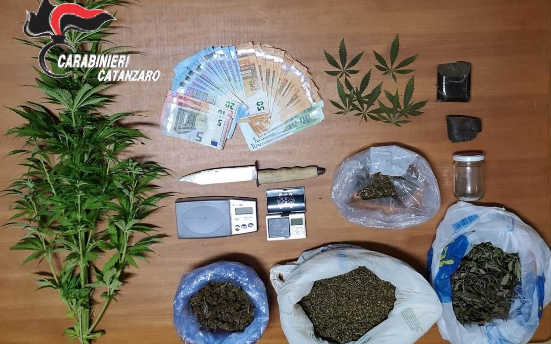 La droga sequestrata
