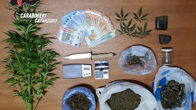 Diverse dosi di droga nell'abitazione del CatanzareseArrestato napoletano con 600 grammi di marijuana