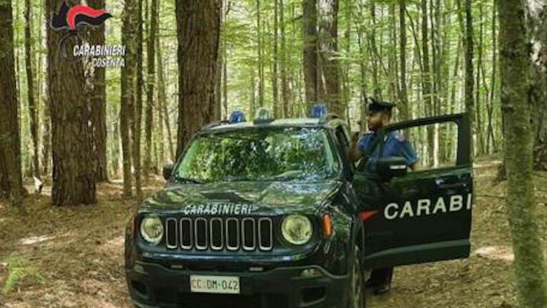 Non riescono a disfarsi della droga prima dell'irruzione dei carabinieri, arrestata una coppia nel Cosentino