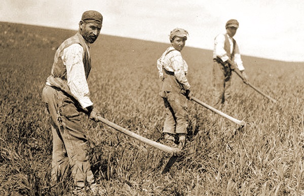 Contadini siciliani al lavoro in un grande latifondo all’inizio del secolo scorso