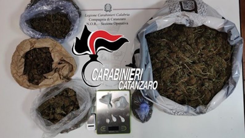 Nascondeva 2 chili di marijuana in casa, arrestato un 40enne nel Catanzarese