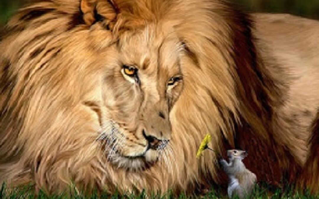 Il leone e il topo