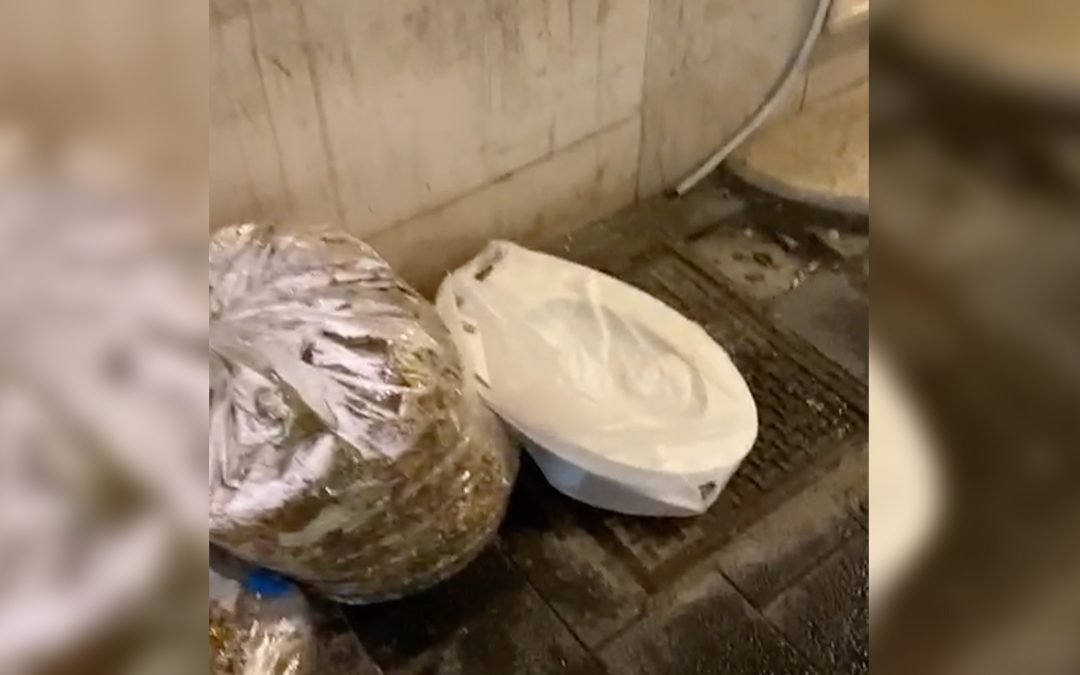 VIDEO – Vibo Valentia, spunta un copriwater tra i rifiuti abbandonati davanti alla Galleria Vecchio