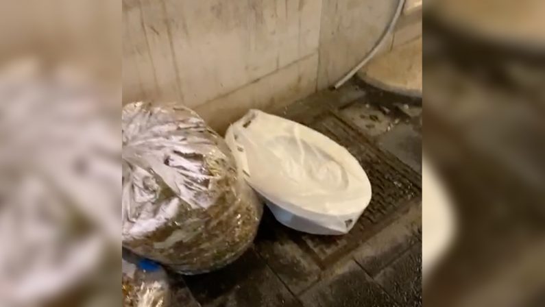 Vibo Valentia, spunta un copriwater tra i rifiuti abbandonati davanti alla Galleria Vecchio - VIDEO