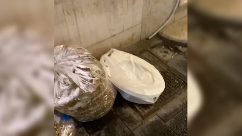 VIDEO - Vibo Valentia, spunta un copriwater tra i rifiuti abbandonati davanti alla Galleria Vecchio