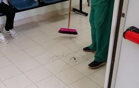 Le formiche spazzate dagli addetti dell'ospedale