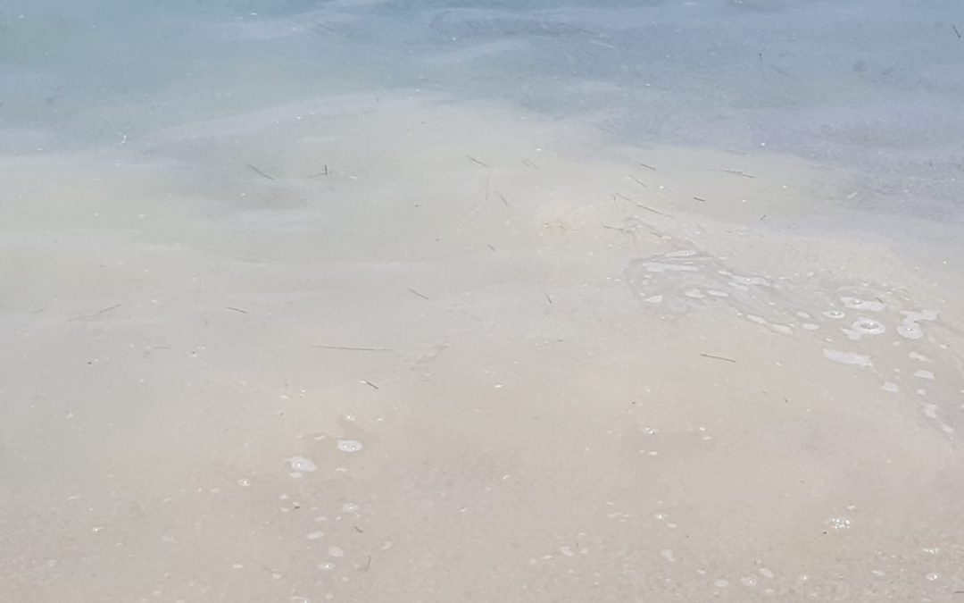 FOTO – Mare sporco in Calabria le immagini dell’estate 2019