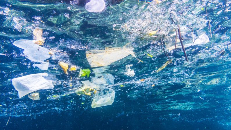 Anche i mari della Calabria soffocati da plastica e rifiutiDal 2015 al 2018 in aumento soprattutto sul Tirreno
