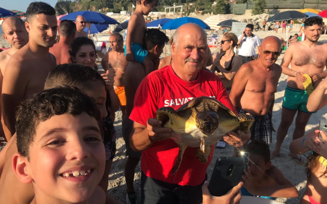 La tartaruga salvata a Zambrone
