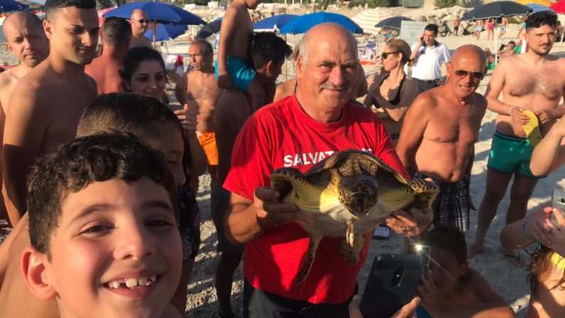 Zambrone, salvata da due pescatori una tartaruga in difficoltàAveva conficcato un amo attaccato ed un contenitore di plastica